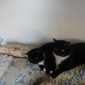 Meet your Posher, Teri